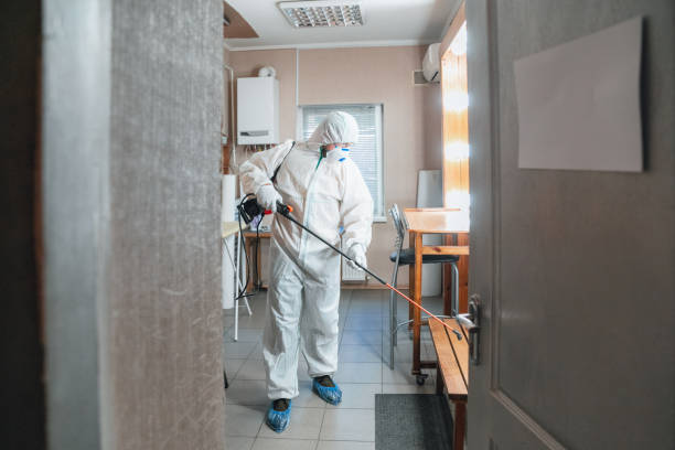 Best Emergency Mold Remediation  in Peabody, MA