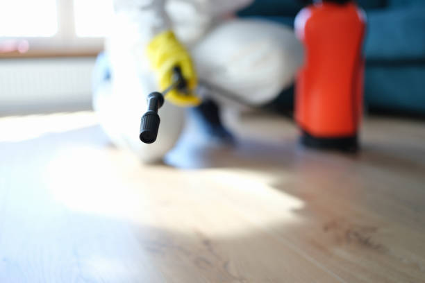 Best Industrial Mold Remediation  in Peabody, MA