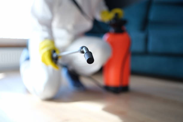 Best Post-Construction Mold Inspection  in Peabody, MA