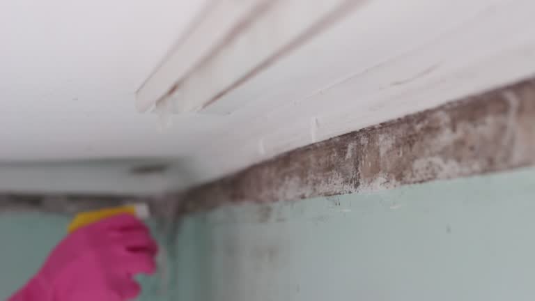 Best Post-Remediation Verification Testing  in Peabody, MA